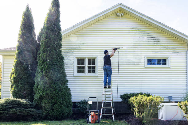 Best Best Pressure Washing Companies  in Buchanan, GA